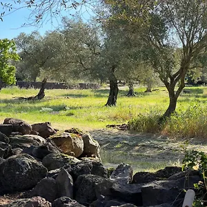 Muristene Pozzo Santa Cristina Holiday home